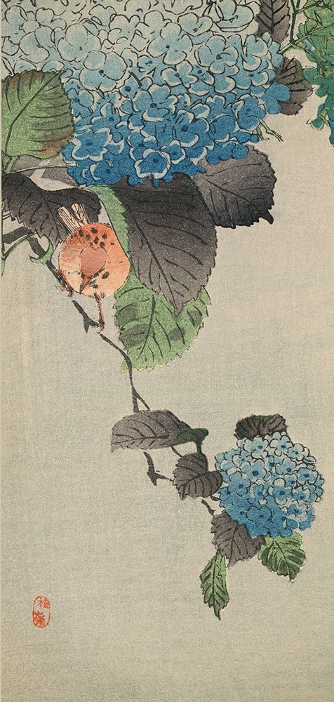 Small bird and hydrangea