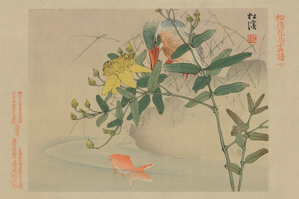 Kingfisher and Goldfish in Pond
