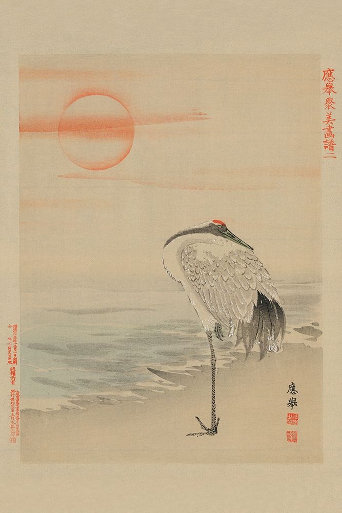 Heron