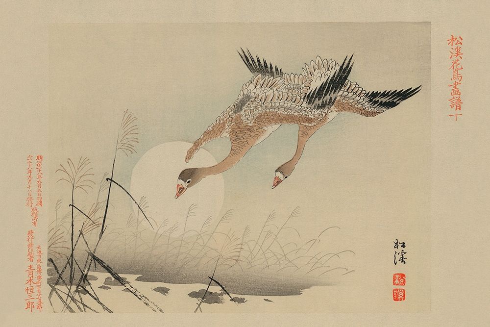 Flying Cranes