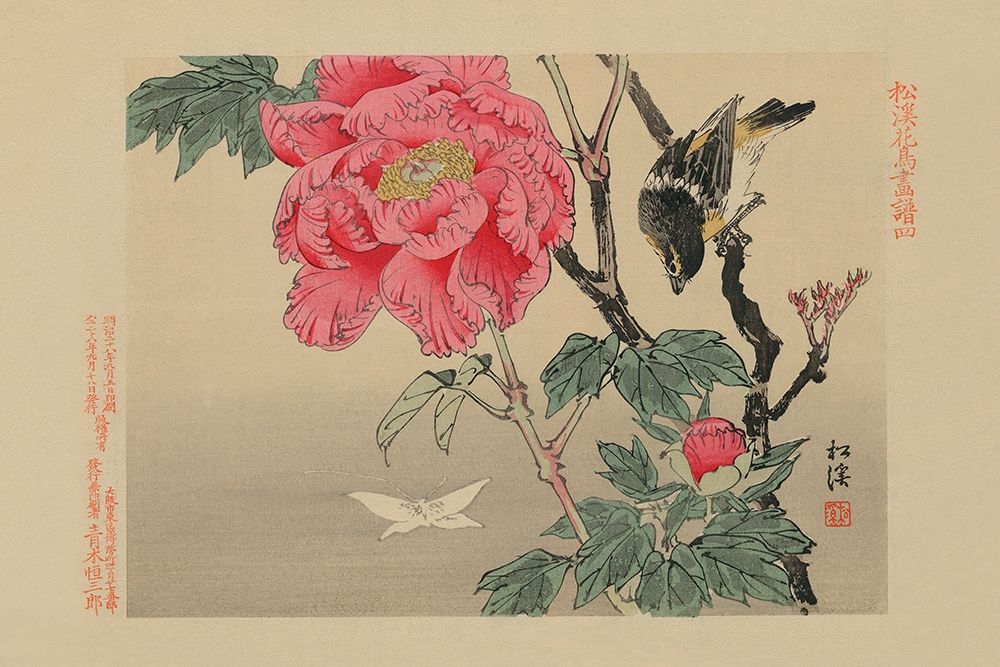 Bird watching a Butterfly