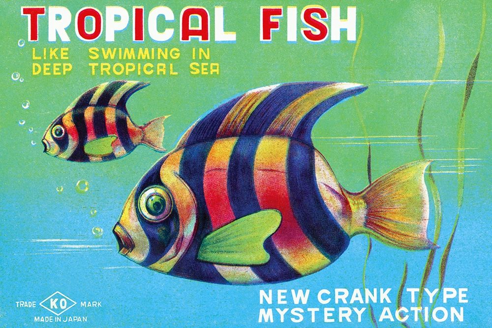 Tropical Fish