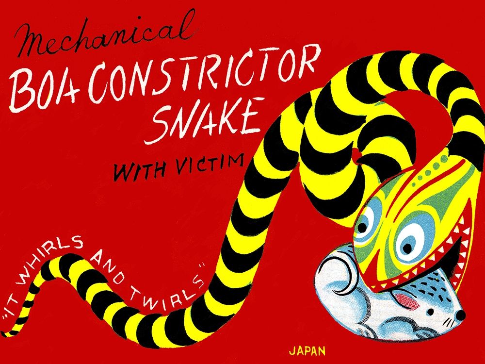 Boa Constrictor Snake with Victim