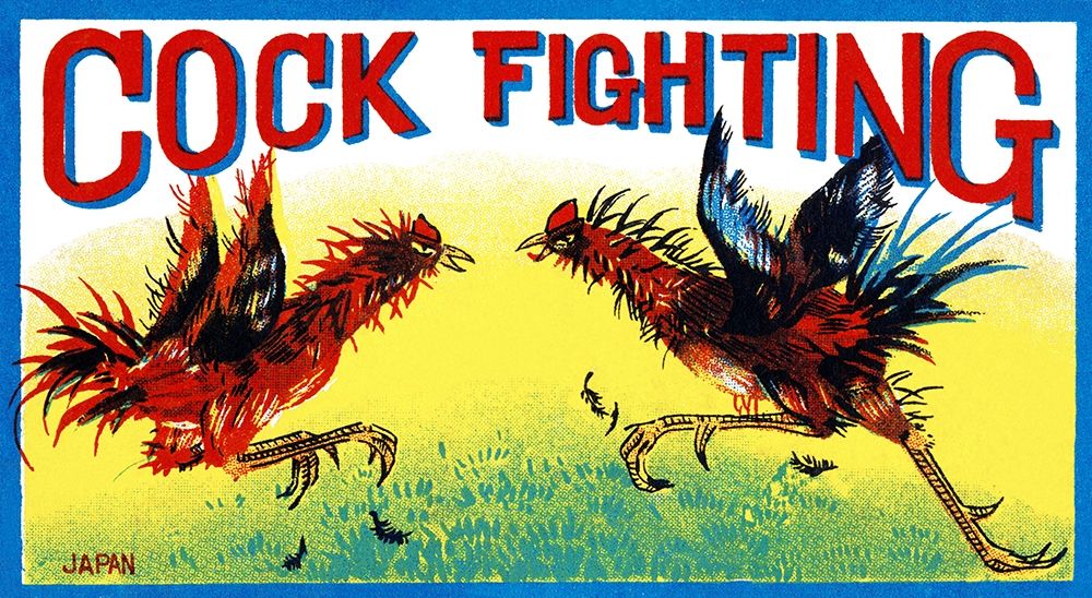 Cock Fighting