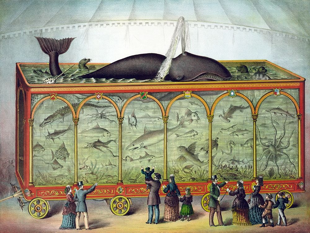 Aquarium