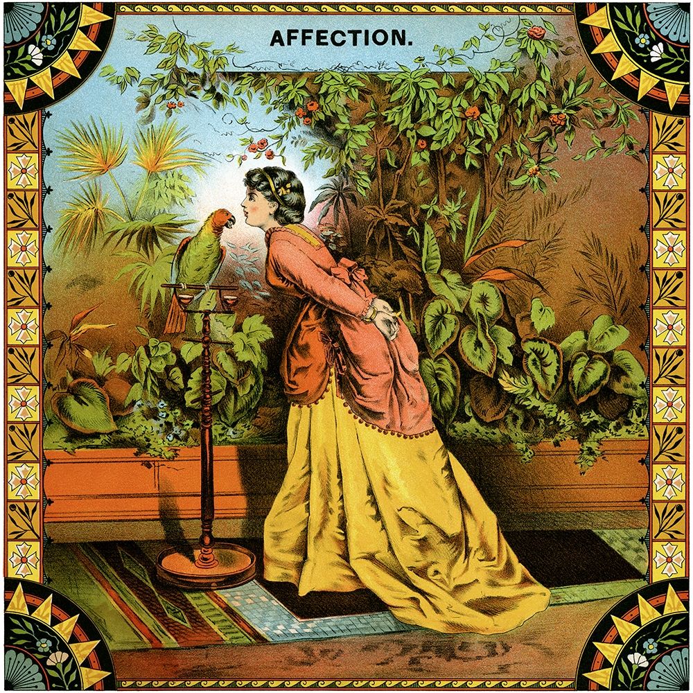 Affection