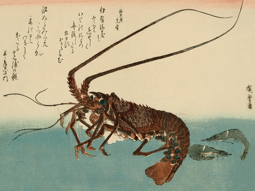 Shrimp and lobster