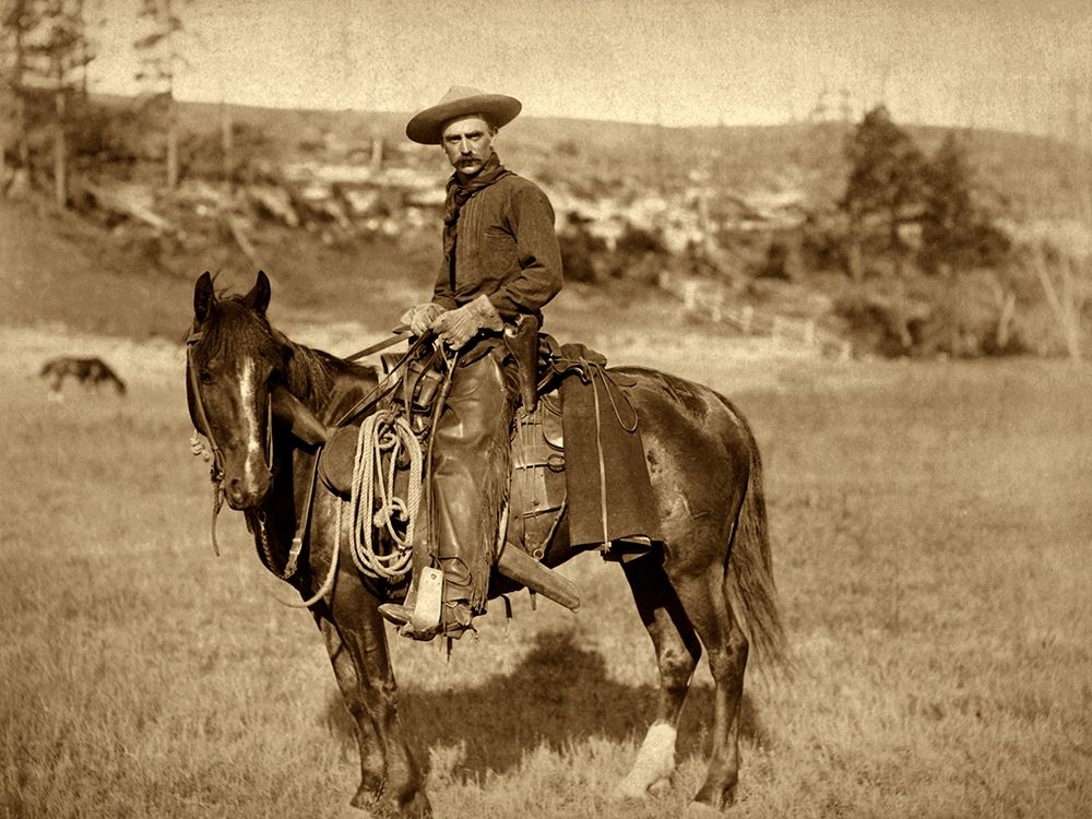 Cow Boy