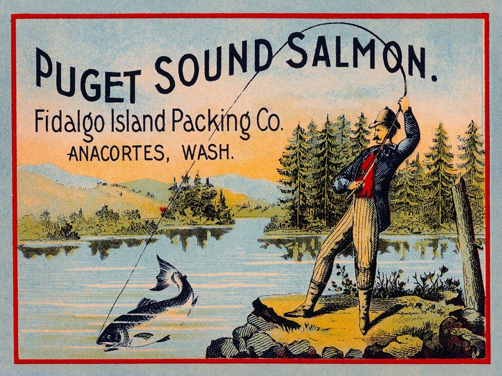 Puget Sound Salmon - On the Fly