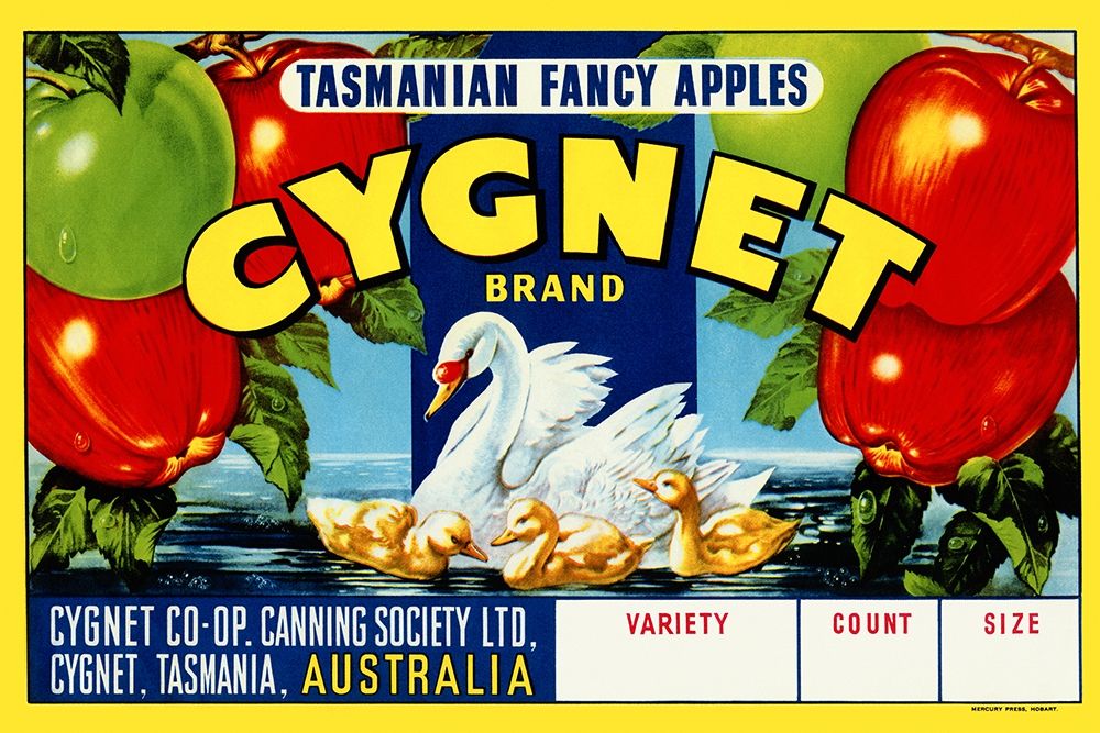 Cygnet Tasmanian Fancy Apples