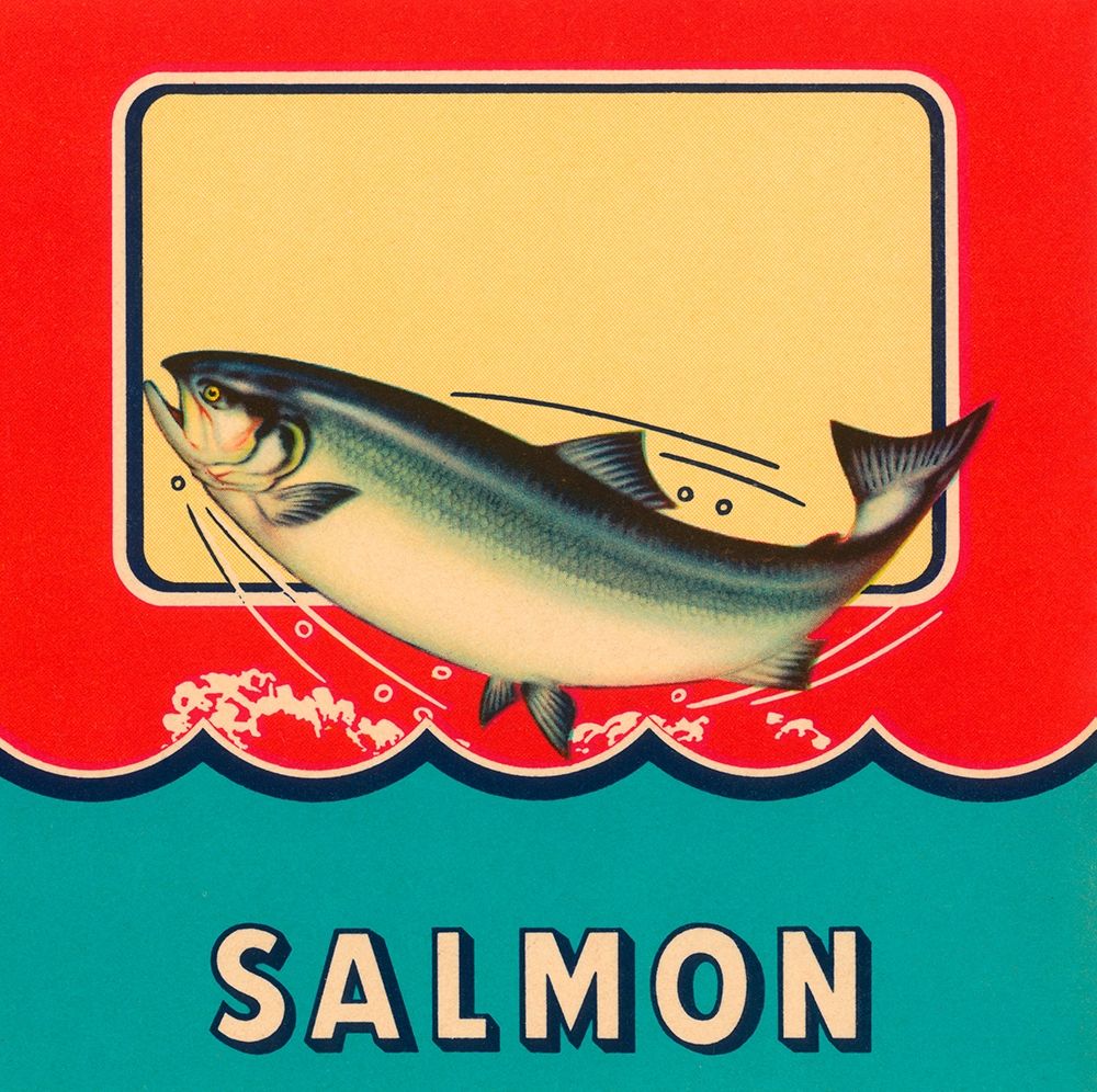 Salmon