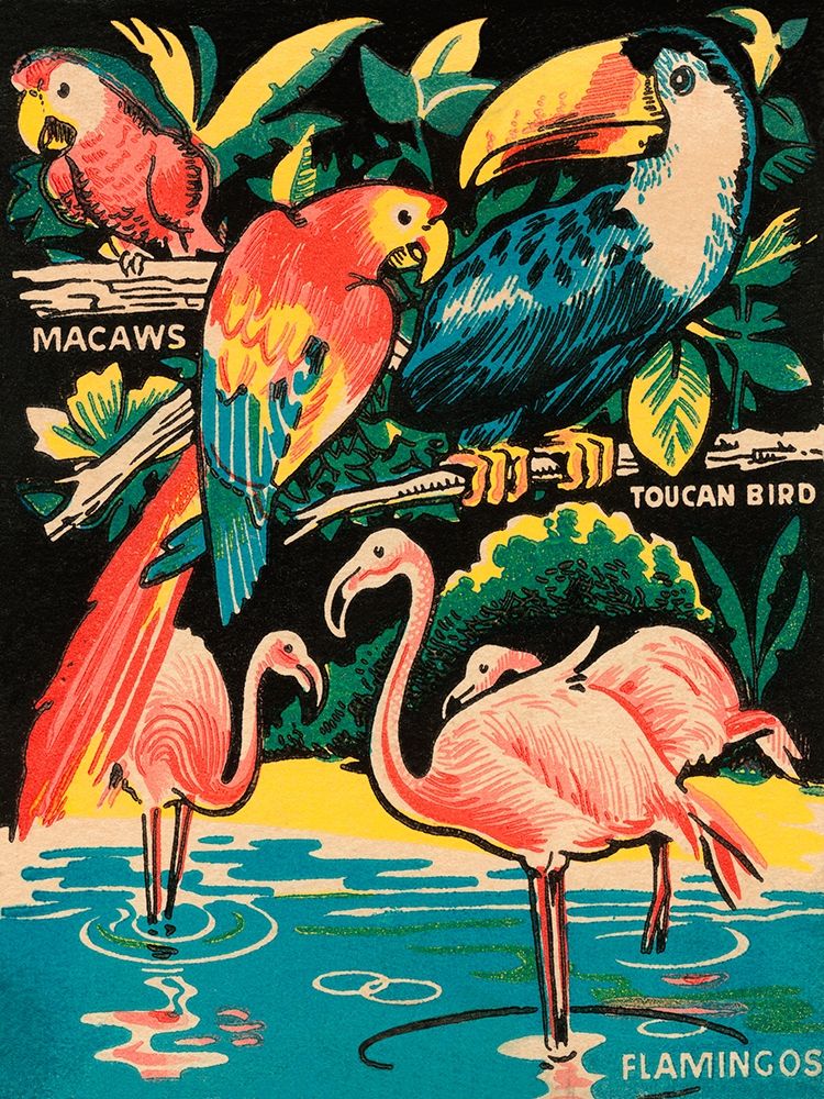 Tropical Hobbyland - Birds