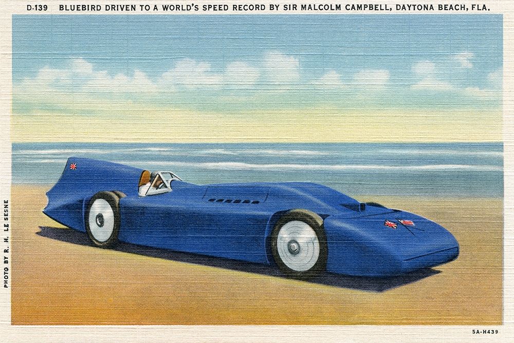 BlueBird 5