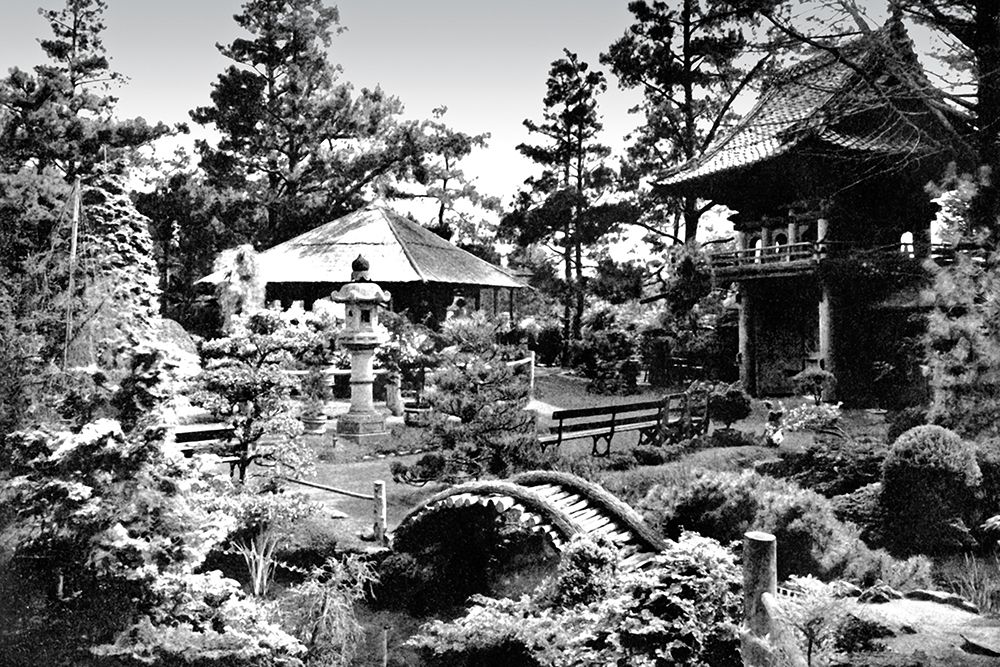 Oriental Tea Garden, San Francisco, CA