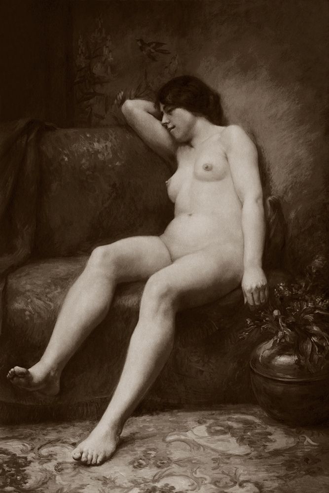 The Siesta