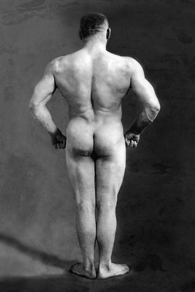 Bodybuilders Back