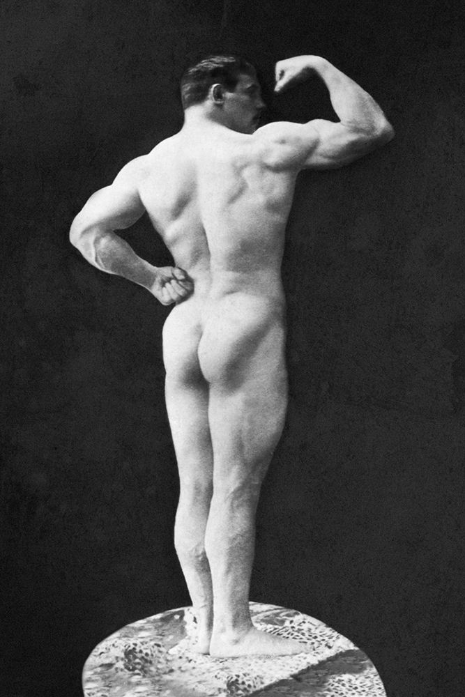 Statuesque Back and Arm Curl