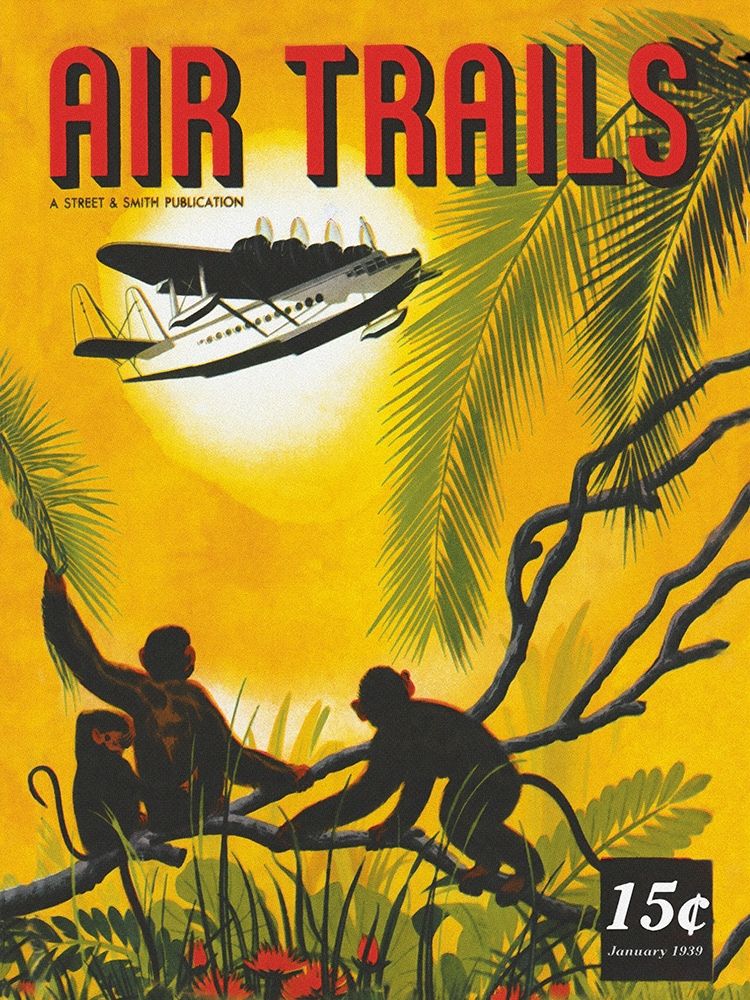 Seaplane Over the Tropics