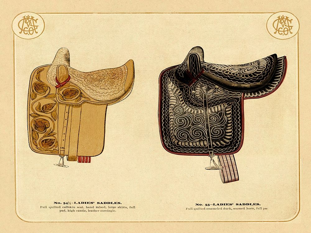 Saddles and Tack: Ladies Saddles #3