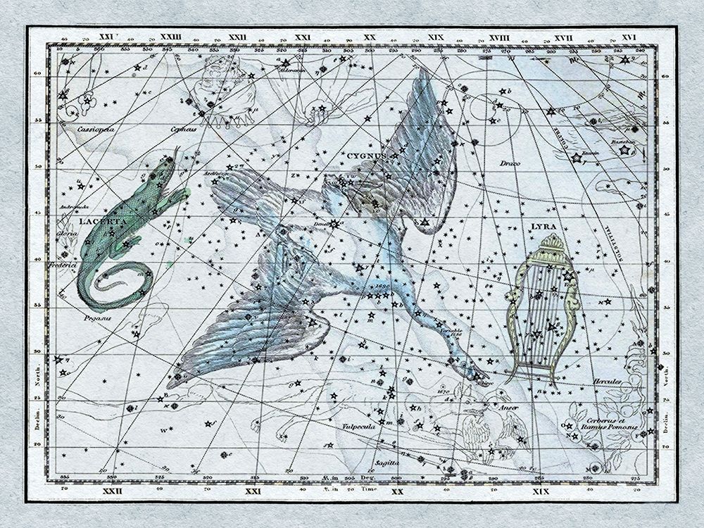 Maps of the Heavens: The Swan in the Milkyway