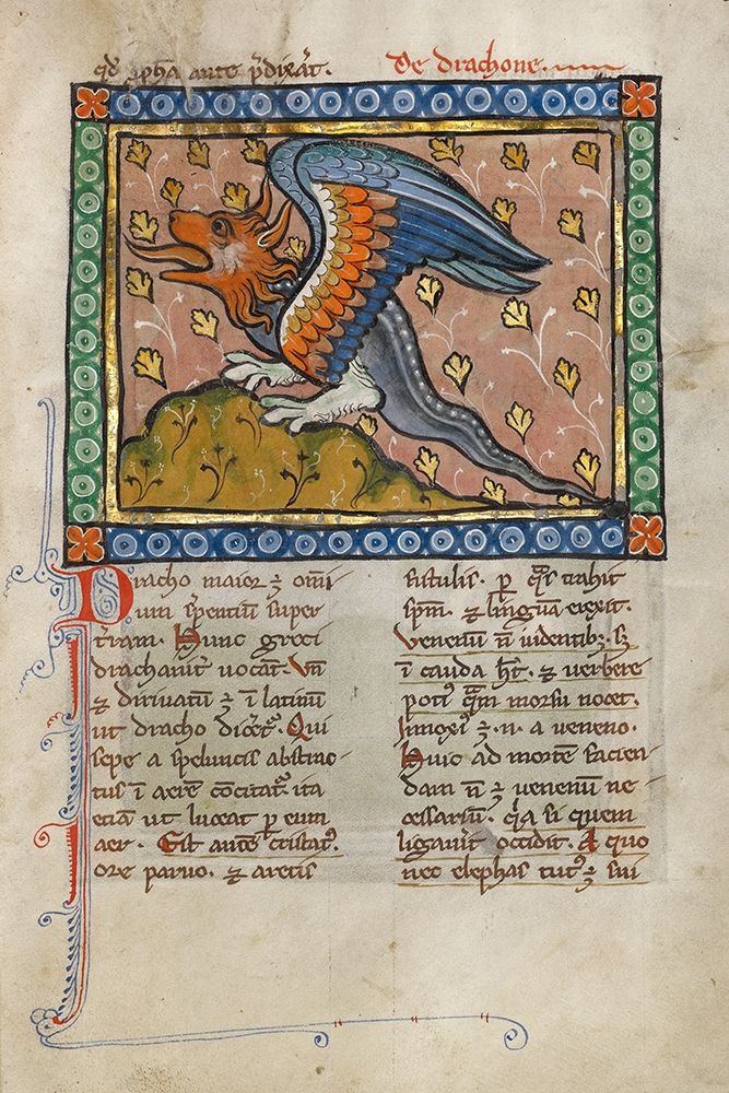 A Dragon