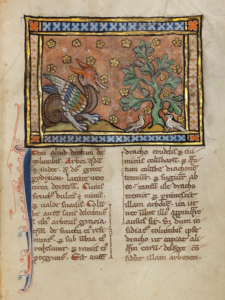 A Dragon Charging Two Doves
