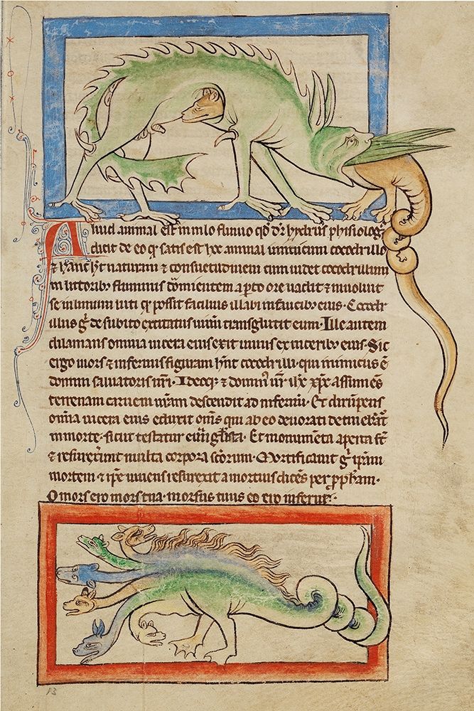 A Hydrus; A Hydra