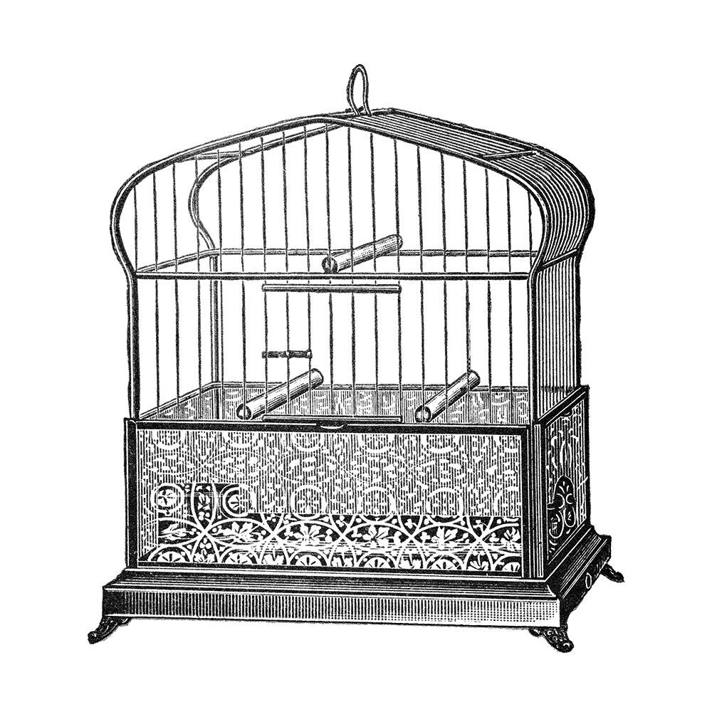 Etchings: Birdcage - Onion-peak top, filigree pattern base
