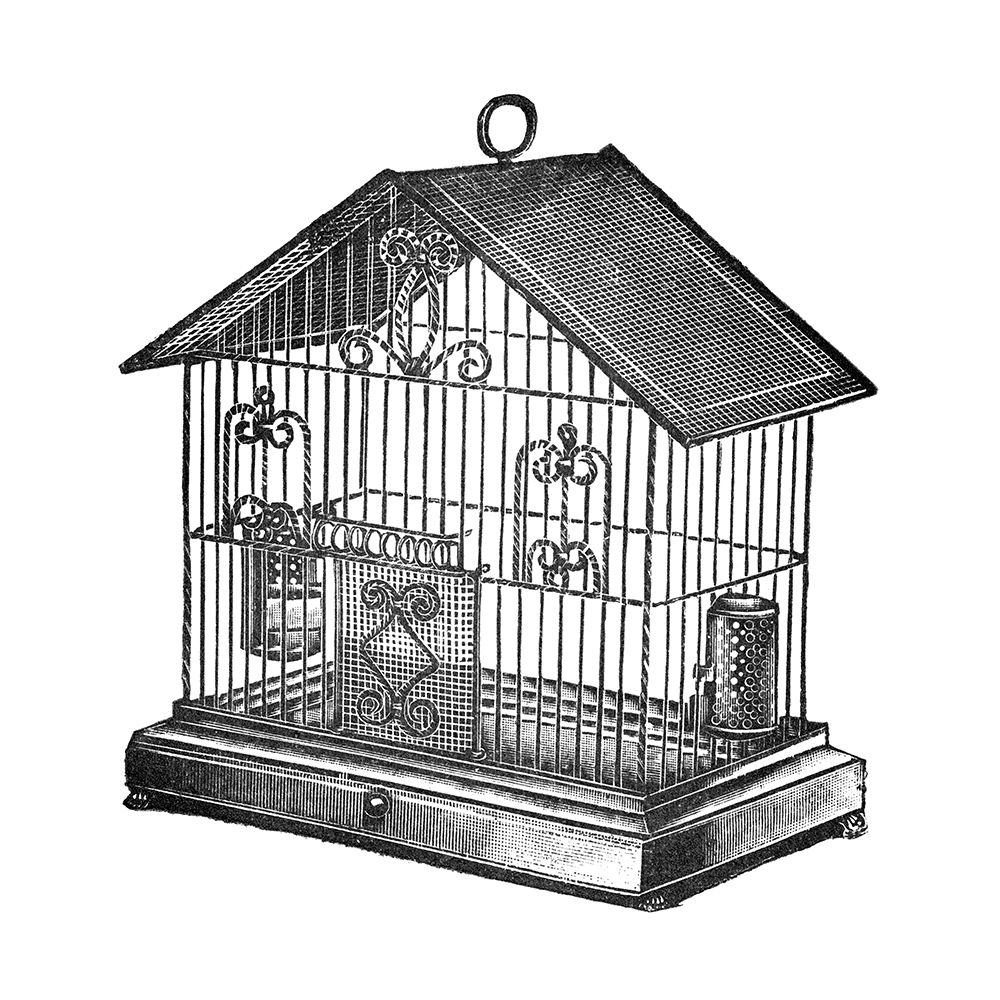 Etchings: Birdcage - Peaked top, twisted wire detail.