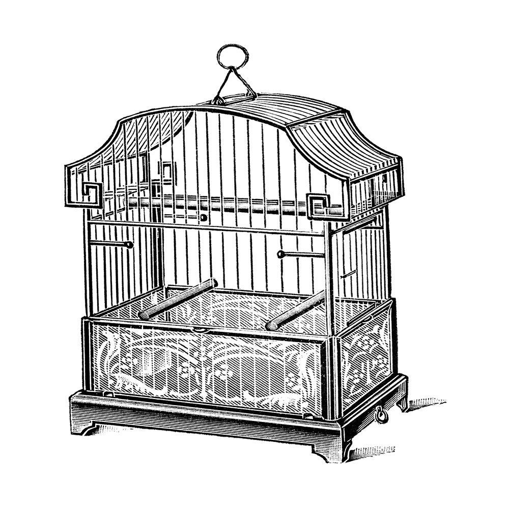 Etchings: Birdcage - Gable top, floral base.
