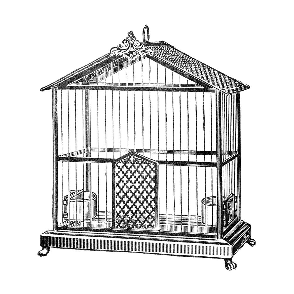 Etchings: Birdcage - Peaked top.