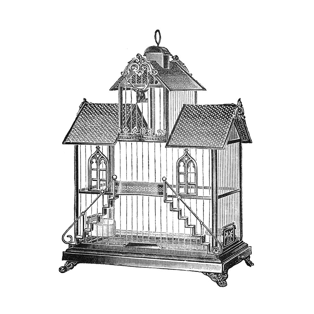 Etchings: Birdcage - Victorian house with steps.