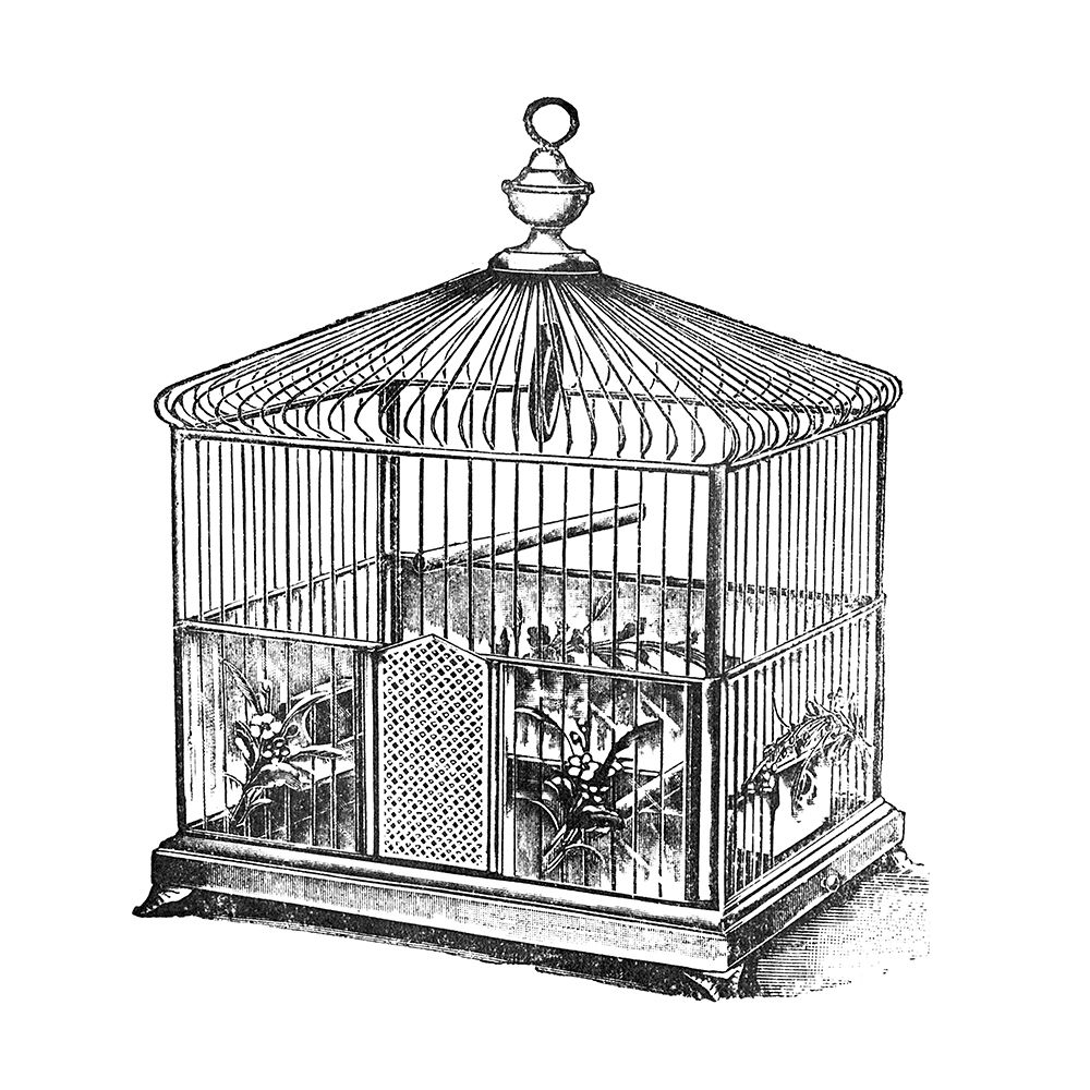 Etchings: Birdcage - Onion peak top, floral base.