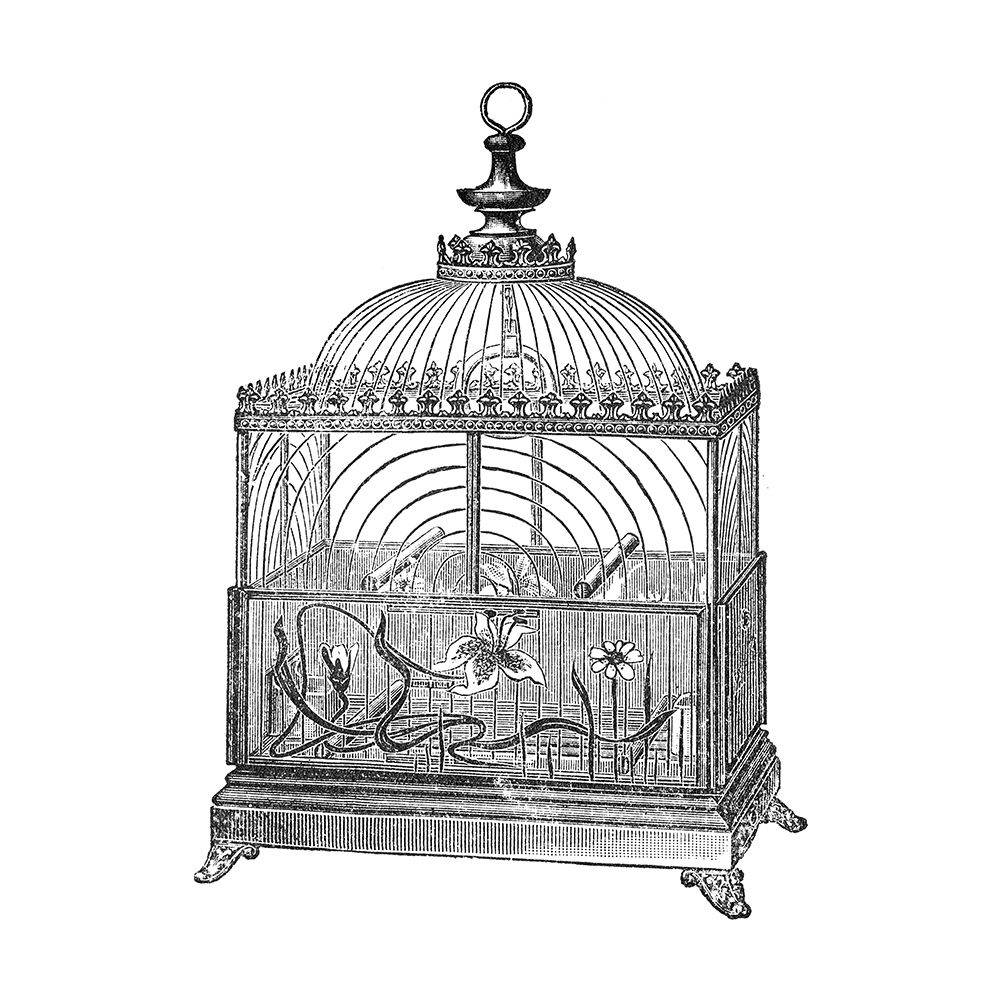 Etchings: Birdcage - Dome top, floral base, filigree detail.
