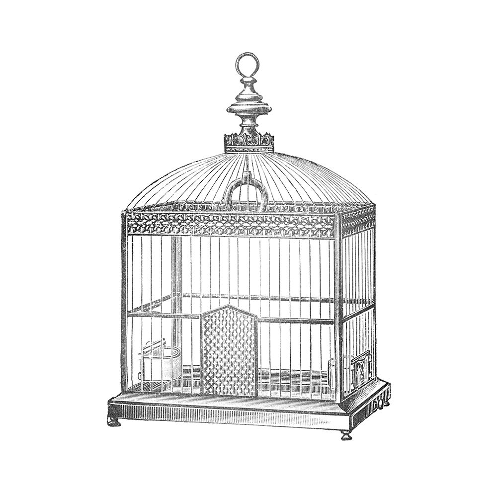 Etchings: Birdcage - Arched top, filigree detail.