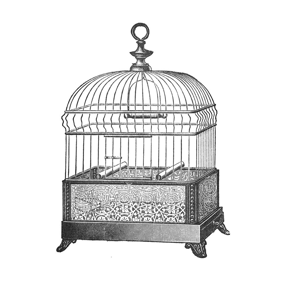 Etchings: Birdcage - Gable top, filigree base.