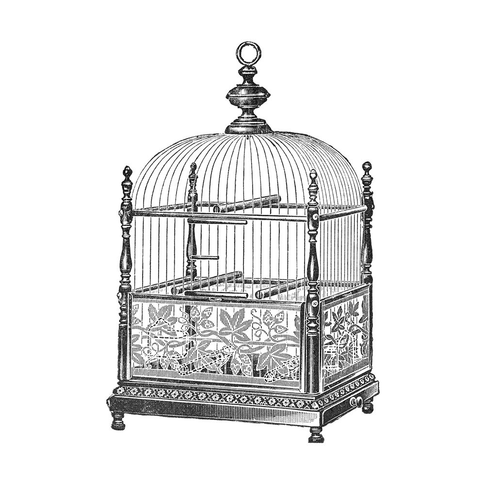 Etchings: Birdcage - Dome top, spindle corners, vine detail base.