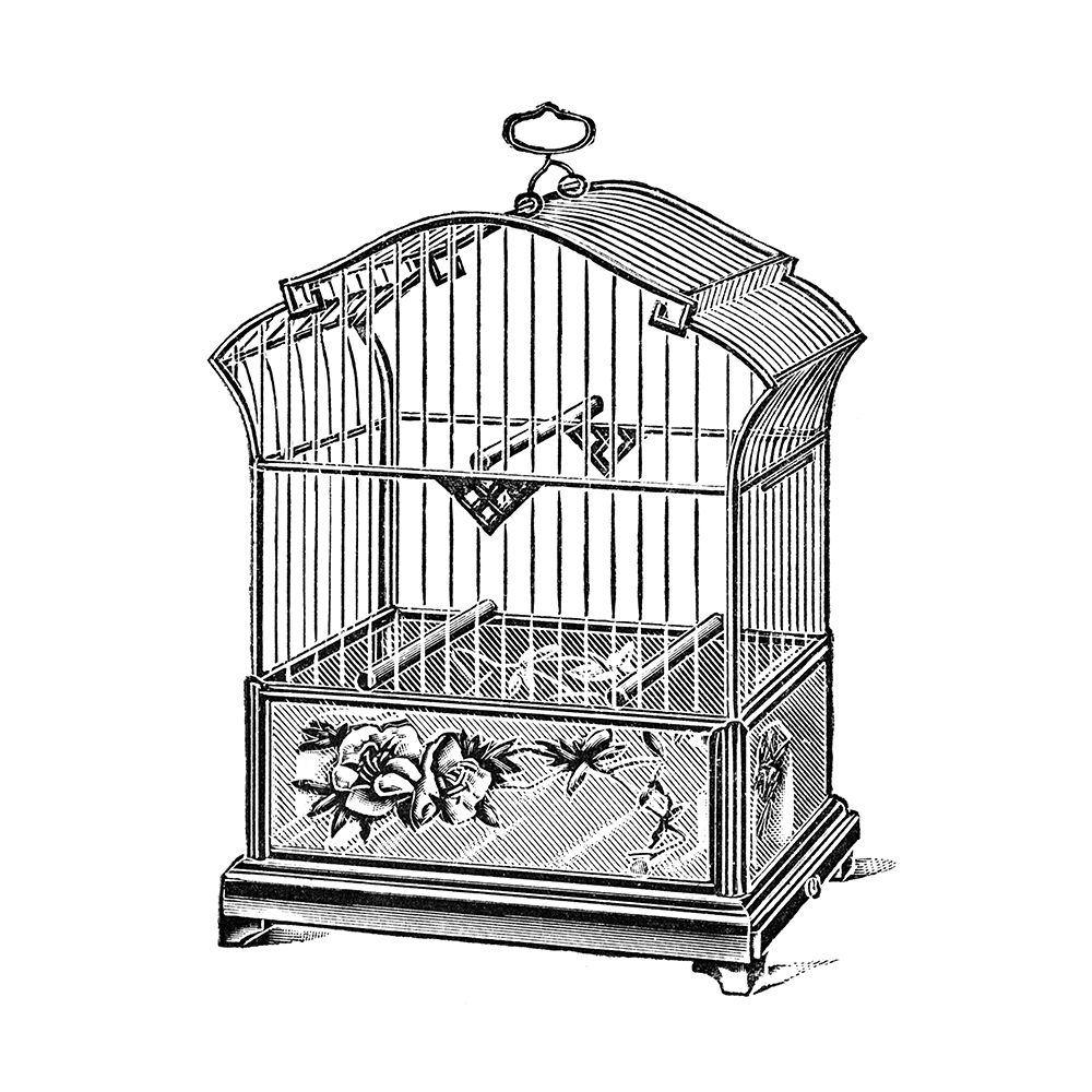 Etchings: Birdcage - Gable top, rose base.