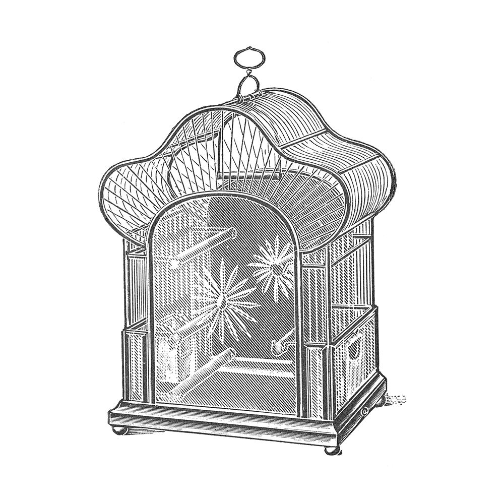 Etchings: Birdcage - Palmate top, daisy detail.