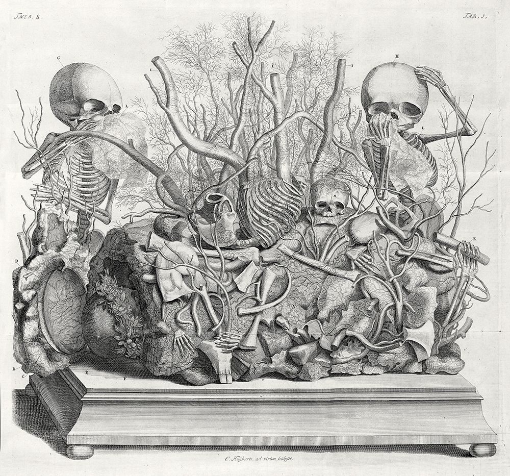 Diorama of fetal skeletons arranged with various internal organs