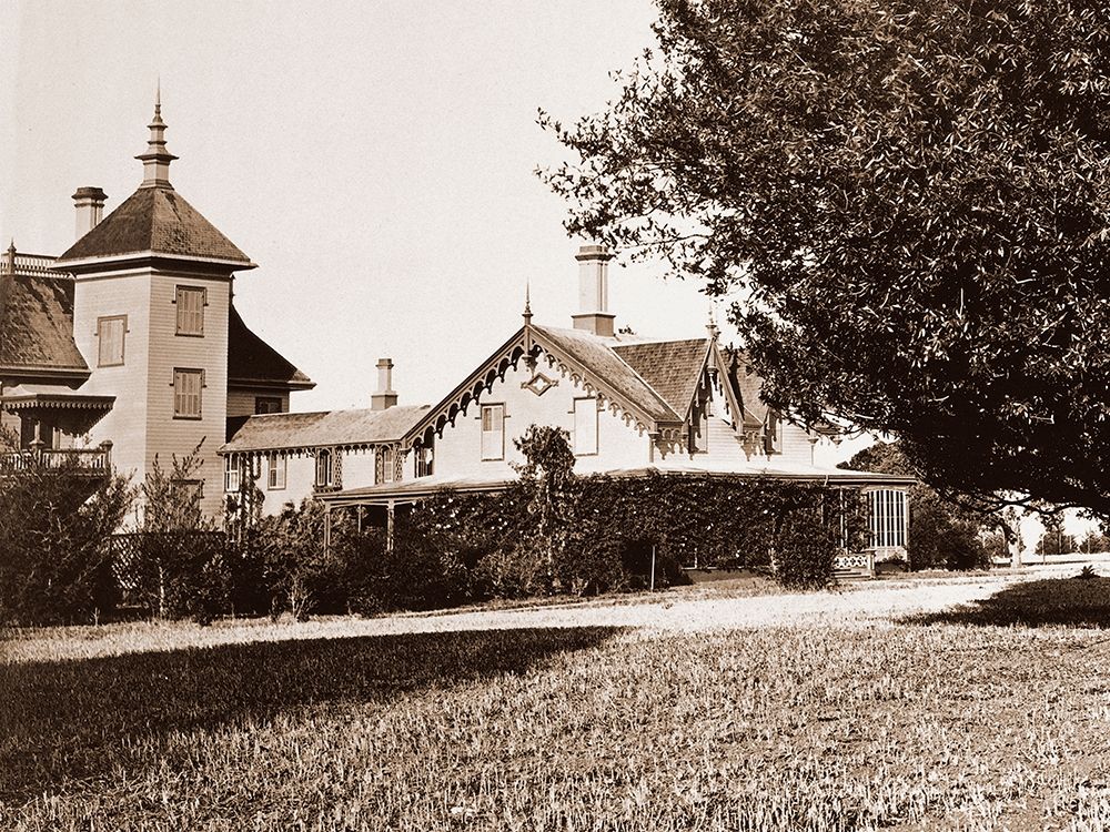Residence of Mr. Howard, San Mateo, California, with Olive Tree, 1863-1880