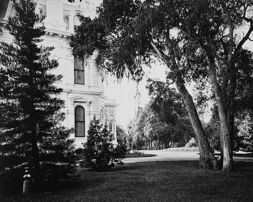 Thurlow Lodge - Lawn and House. From Barron Cluster. Black and white.