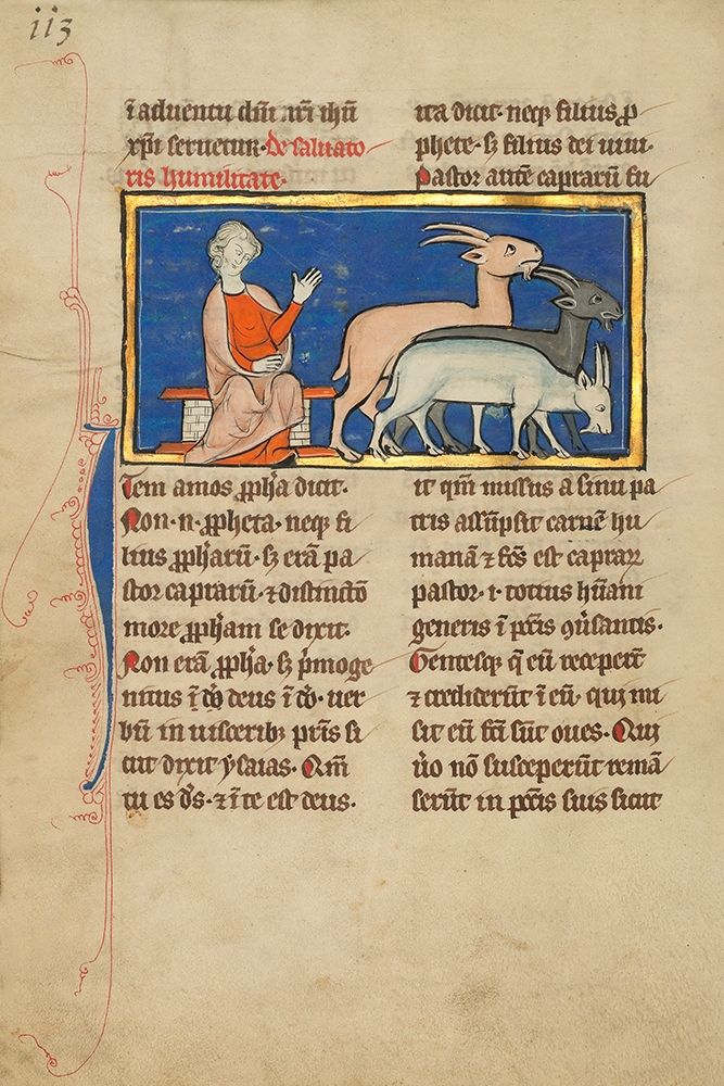 Amos and Three Goats