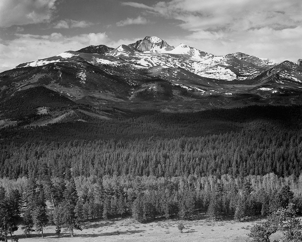 Trees in foreground, snow covered mountain in background, in Rocky Mountain National Park, Colorado,