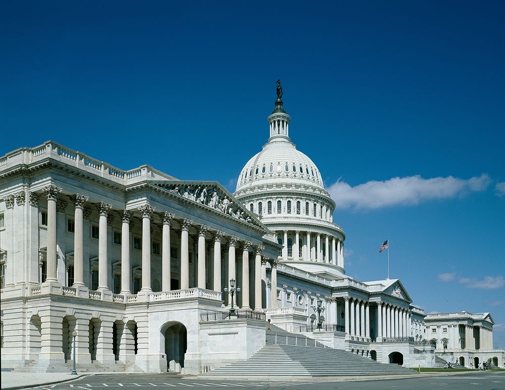 U.S. Capitol, Washington, D.C.