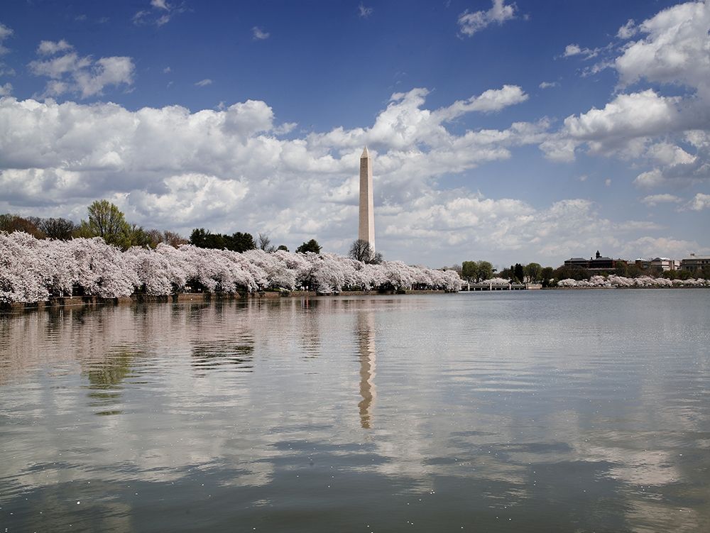 Washington Monument, Washington, D.C.