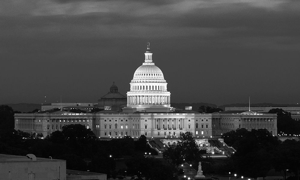 U.S. Capitol, Washington, D.C. Number 2 - Black and White Variant