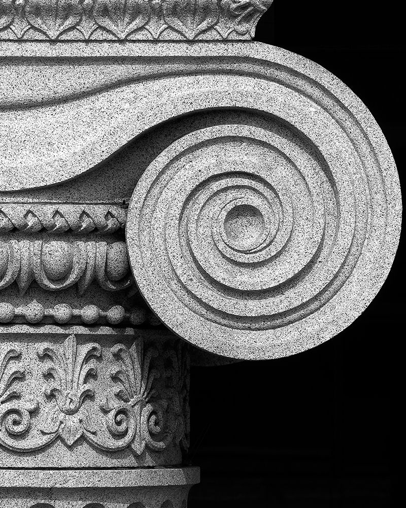 Column detail, U.S. Treasury Building, Washington, D.C. - Black and White Variant