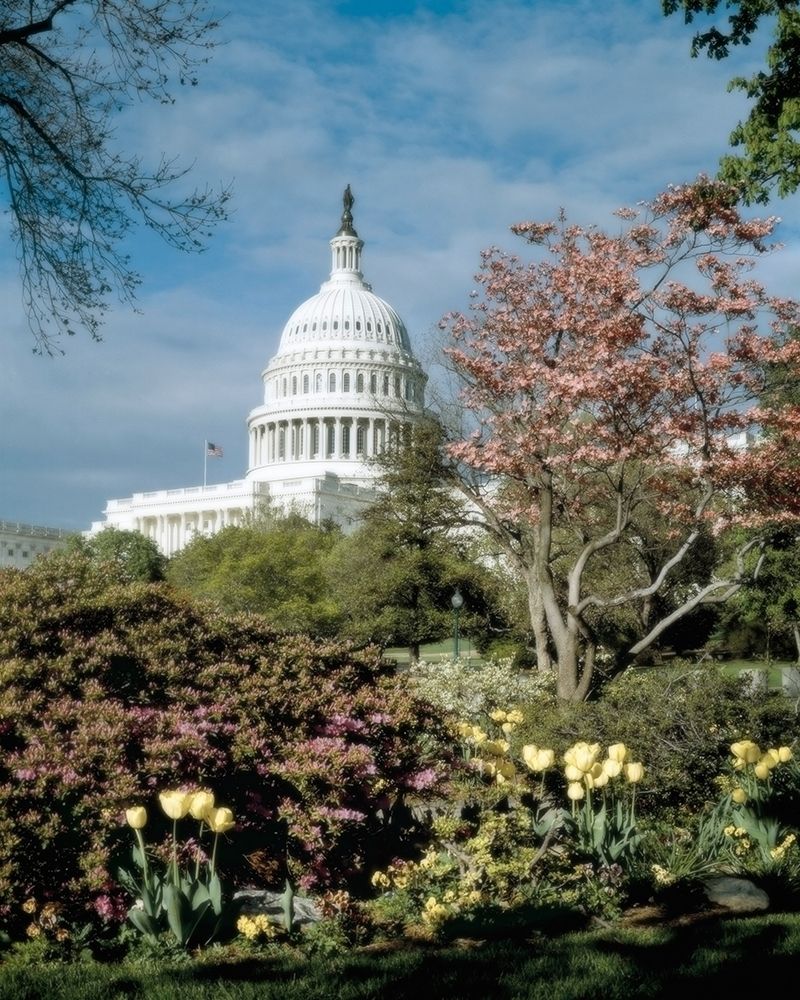 U.S. Capitol, Washington, D.C. Number 3 - Vintage Style Photo Tint Variant