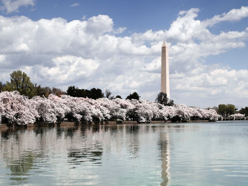 Washington Monument, Washington, D.C. - Vintage Style Photo Tint Variant